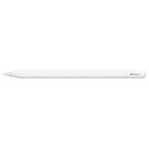 APPLE PENCIL (USB-C)