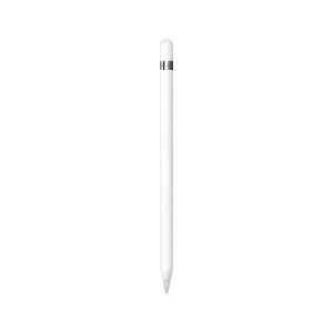 APPLE PENCIL (USB-C)