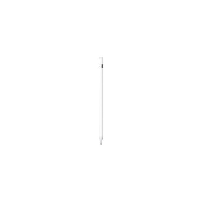 APPLE PENCIL (USB-C) APPLE PENCIL (USB-C)